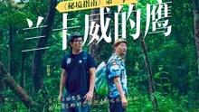 创作猫