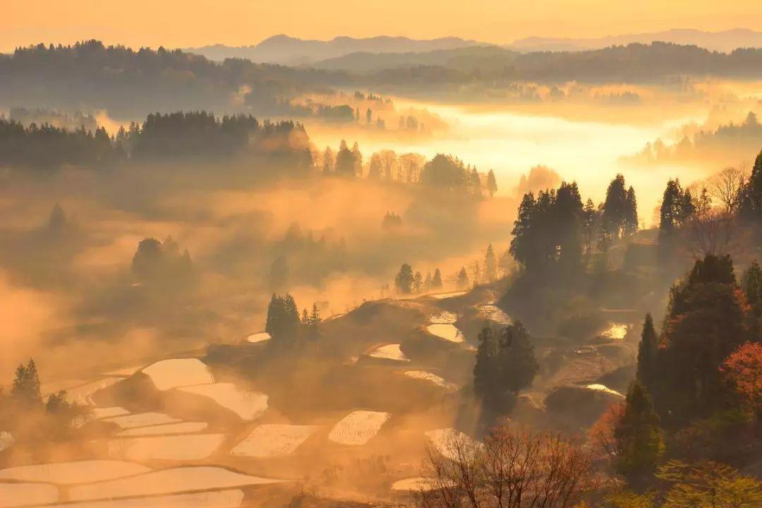 雨血前传：蜃楼