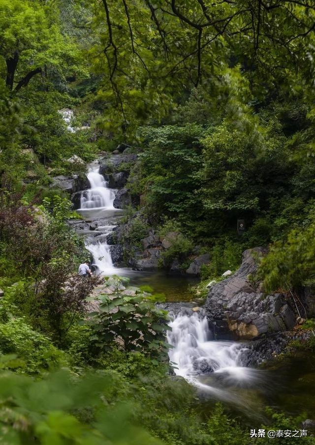 晨间天气丨中心城区阴天 12℃左右