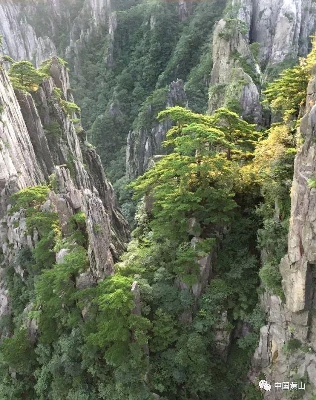 逗小猴开心系列200