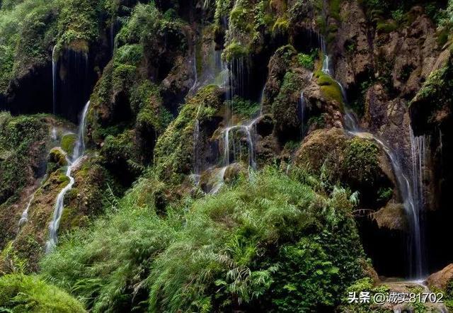 肝变硬了还能变软吗?别过于忧虑,我们的肝脏是一个神奇内脏