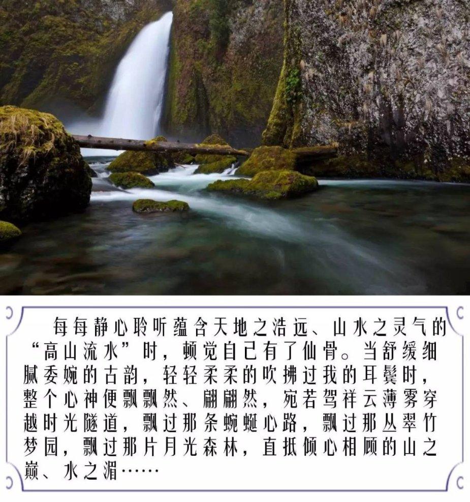 御龙在天